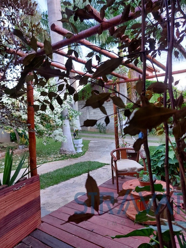 Imagem 15 de 19 de Chacara - Ch00091 - 69547603