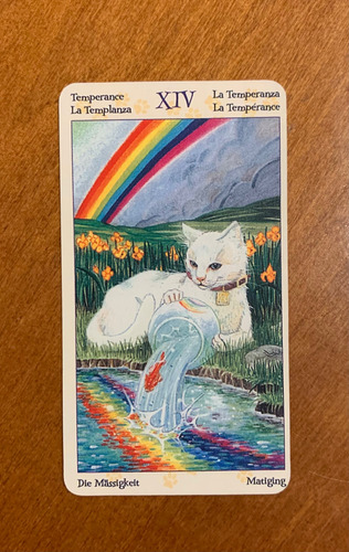 Mazo De Tarot Of Pagan Cats, 78 Cartas