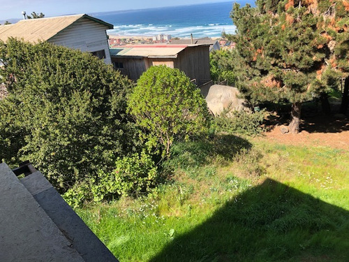 Venta Sitio - El Tabo A 500 M. De La Playa