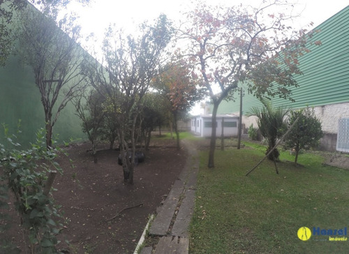 Imagem 6 de 22 de Terreno Para Venda - 91192.001