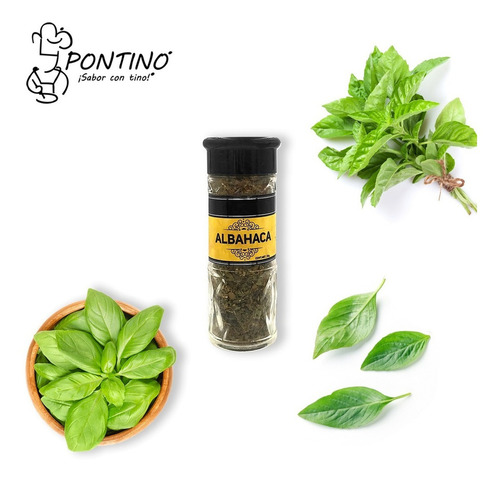 Pontino Albahaca, 20 G