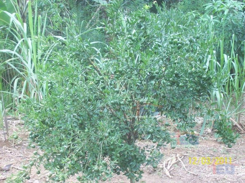 Imagem 9 de 15 de Ref.: 5531 - Chacaras Em Mairinque Para Venda - V5531