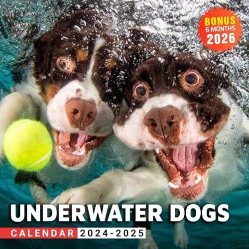 Livro Calendário De Cães Subaquáticos Calendário De Três