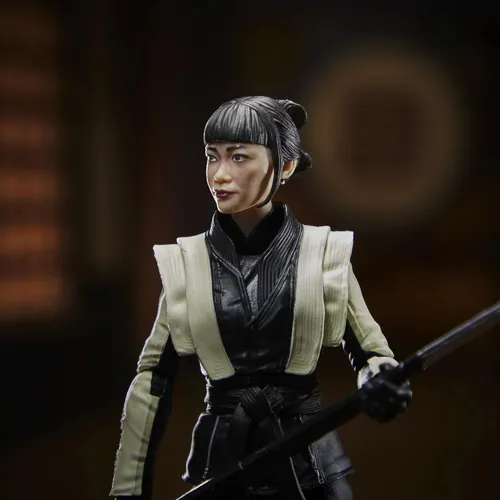 Figura Accion Gi Joe Classified Series E - Akiko / Diverti