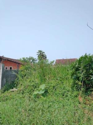 Imagem 3 de 4 de Terreno Para Construtor Com 260 M² Em Itanhaém-sp | 7045-pc
