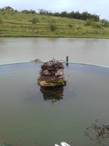 Imagem 12 de 14 de Magnífica Fazenda Em Pariquera-açu Medindo 58 Alqueires