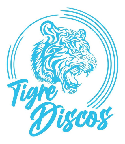 Imagen 5 de 7 de Pad Pulir + Disco Adaptador Amoladora Taladro Tigre Discos