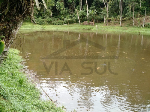 Imagem 10 de 30 de Sítio À Venda Em Juquitiba, Com Estrutura Reversível Para Pesqueiro. - 106 - 34341139