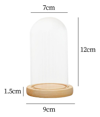 Nuevo Cúpula De Cristal Campana Campana Base De Madera