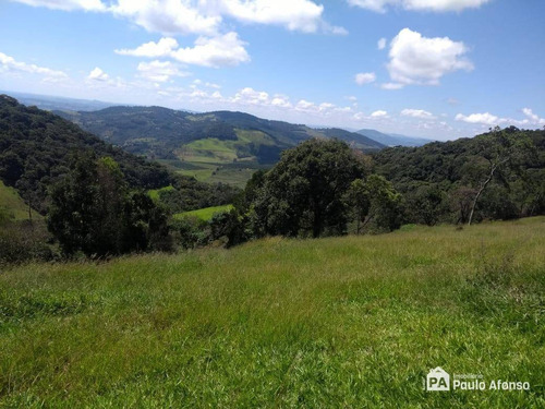 Chácara Residencial À Venda, Centro, Divinolândia - . - Ch0026