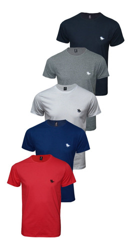 Imagem 1 de 10 de Kit Blusa Camiseta Masculina Com 5 Cores Original Polo Rg518
