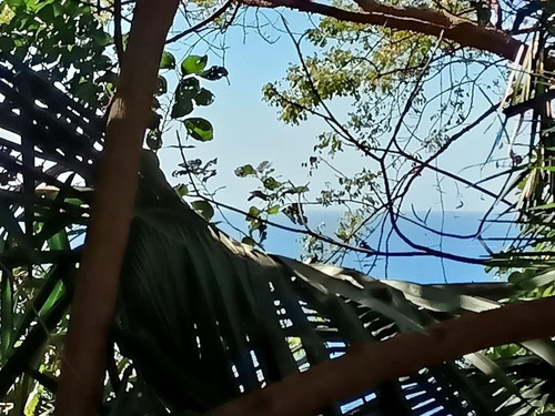 Imagen 8 de 9 de Terreno - Amapas