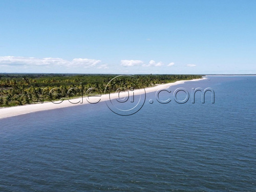 Imagem 3 de 3 de Ilha Paradisíaca No Brasil | Área Com 57.000m2 | Península De Maraú | Ba - Ar00014 - 69398590