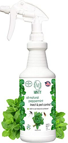 Antiinsecticida Natural En Spray Con Aceite De Menta 16 Oz