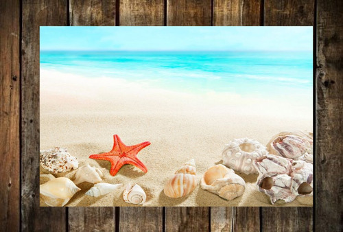 Vinilo Decorativo 30x45cm Playa Arena Estrella Mar M8