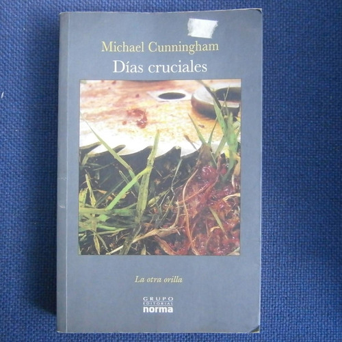 Dias Cruciales, La Otra Orilla, Michael Cunningham, E. Norma