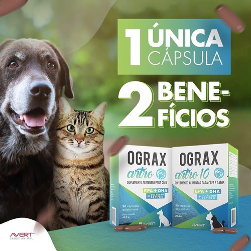 Combo C/ 2 Ograx Artro 20 Suplemento Avert C/ 30 Cápsulas