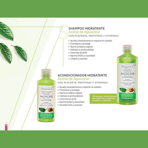 Shampoo Hidratante Aceite De Aguacate Florigan® 1lt 2 Piezas