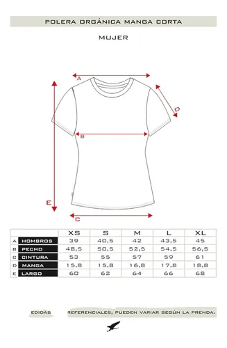 Polera Orgánica Classic Logo Taupe Mujer Falcone