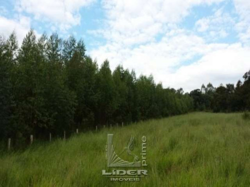 Imagem 2 de 6 de Terreno Estiva Do Agudo Bragança Paulista Sp - Js8556-1