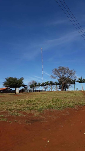 Imagem 6 de 10 de Fazenda Dupla Aptidão Município Quirinopolis