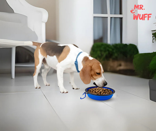 Plato Comedero Para Perro Plegable 88g Mr Wuff Color Azul rey