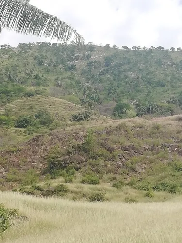 Finca Ganadera Con Nacimiento De Agua Propio