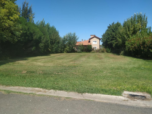 Imagen 30 de 30 de Terreno - San Eliseo Golf
