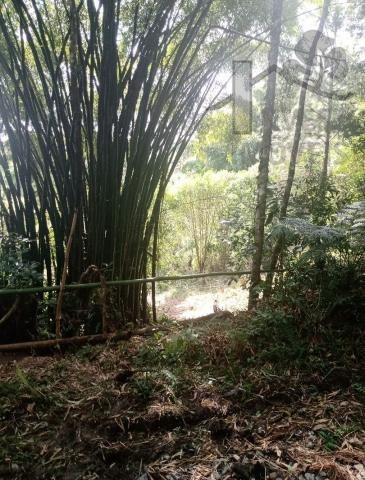 Imagem 8 de 15 de Cod 5997 - Sítio Com 20 Alqueires Em Miracatu-sp - 5997