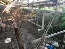 Comprar Jaulas 10.200 Gallinas Ponedoras Envío Incluido A Todo País