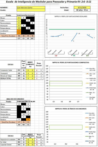 Test Wppsi Iv Wechsler Preescolar Automatizado Ilimitado