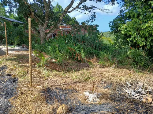 Terreno Plano Em Itacaré Ba