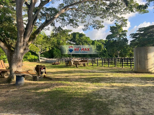 Se Vende Finca Totalmente Operativa Y Productiva Cercana A Yaracal, 