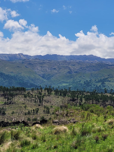 Venta De Chacra De Diez Hectáreas En Athos Pampa - Tlc0027