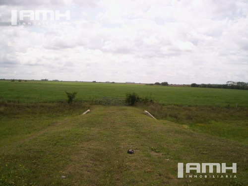 Campo - General Madariaga Campo En Venta 90 Hectáreas Gral Madariaga