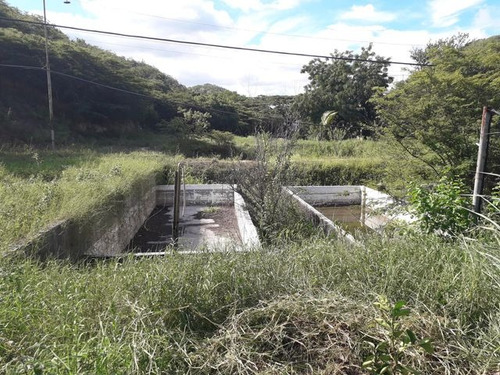 Raiza Suarez Vende Granja Turística En La Ensenada, A Solo Minutos De Barquisimeto Y Yaritagua, Licencia De Licores, Piscina, Cancha De Bolas, Salón De Fiestas, Dos Restaurantes, Caney 2 3 3 3 2 4 8