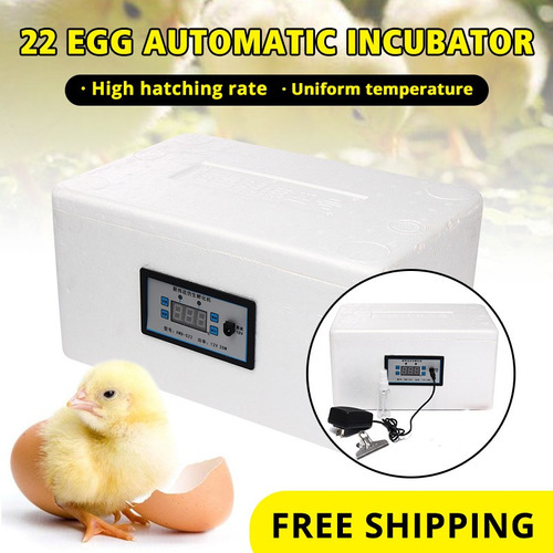 22 Huevos Incubadora Digital Automática Pollo Aves Nacedora