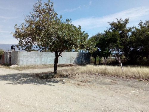 Imagen 6 de 8 de Terreno En Venta Las Flechas
