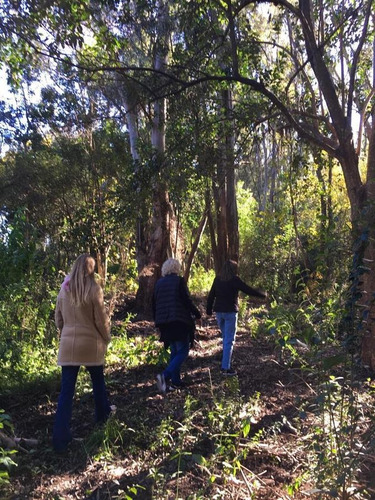 Imagen 10 de 21 de Venta En Estancia El Aduar Club De Chacras 2 Has Bosque Y Llano, Con Mejoras