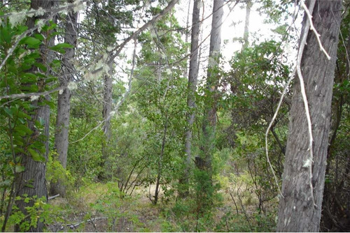 Terreno En Mallin Ahogado, El Bolson, Se Vende