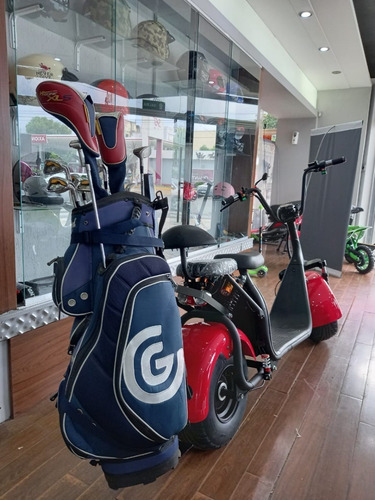 Imagen 8 de 25 de Monopatin Sunra Scooter Litio 20 Ah Electrico 1000w Golf