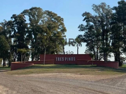 Imagen 7 de 30 de Lote Venta Barrio Cerrado Villa De Campo 3 Pinos General Rodriguez
