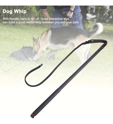 Látigo De Adiestramiento Canino, Herramienta De Negro