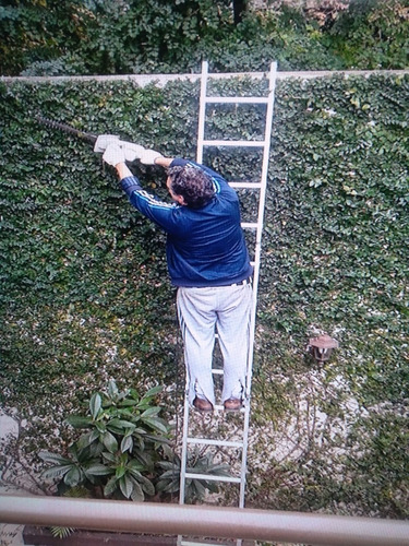 Imagen 8 de 10 de Servicio De Jardinería, Jardineros Profesionales A Domicilio