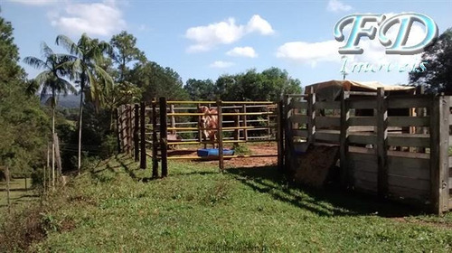 Imagem 16 de 29 de Sítios À Venda Em Nazare Paulista/sp - Compre O Seu Sítios Aqui! - 1322572