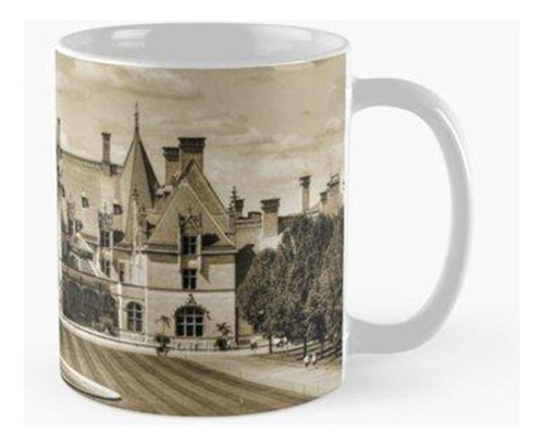 Taza Biltmore Mansion Estate Calidad Premium