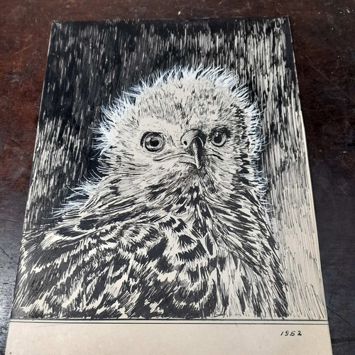 Imagem 1 de 5 de Desenho Nanquim Bico De Pena Datado 1952 Antigo Sem Moldura