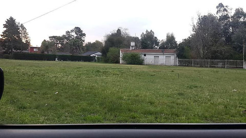 Imagen 3 de 3 de Terreno - Pilar