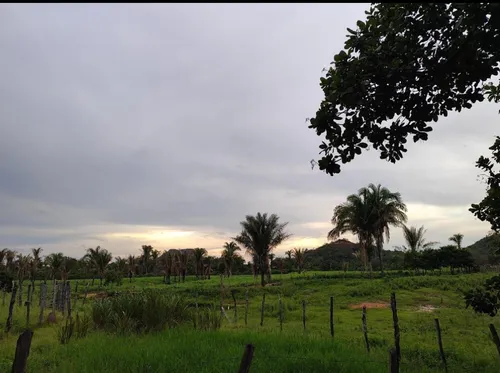 Terreno 61 Hectares Escriturado,à 23km Da Cidade-amarante Pi