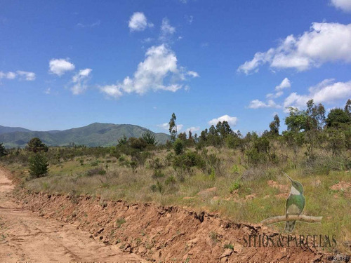 F-190 Valle Alegre, Quintero, 20.000m2
